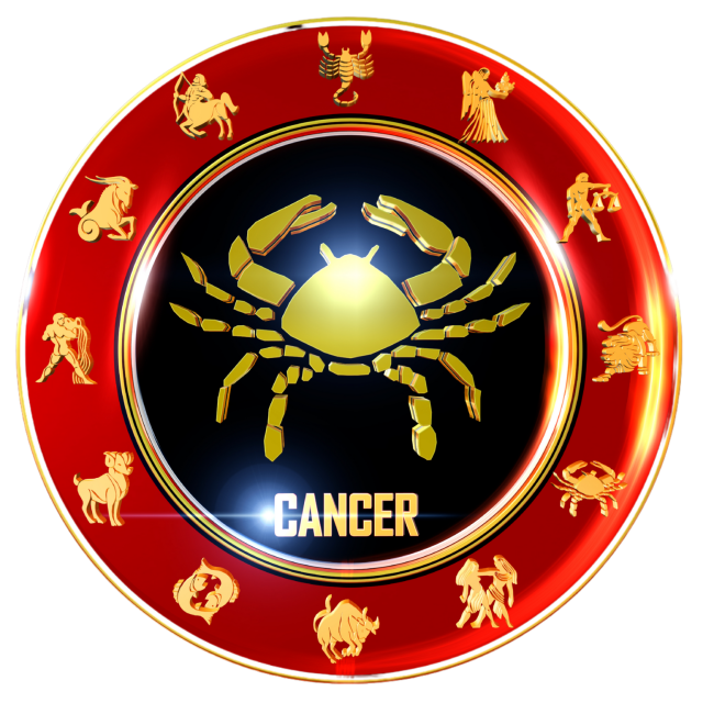 Untitled design (23)