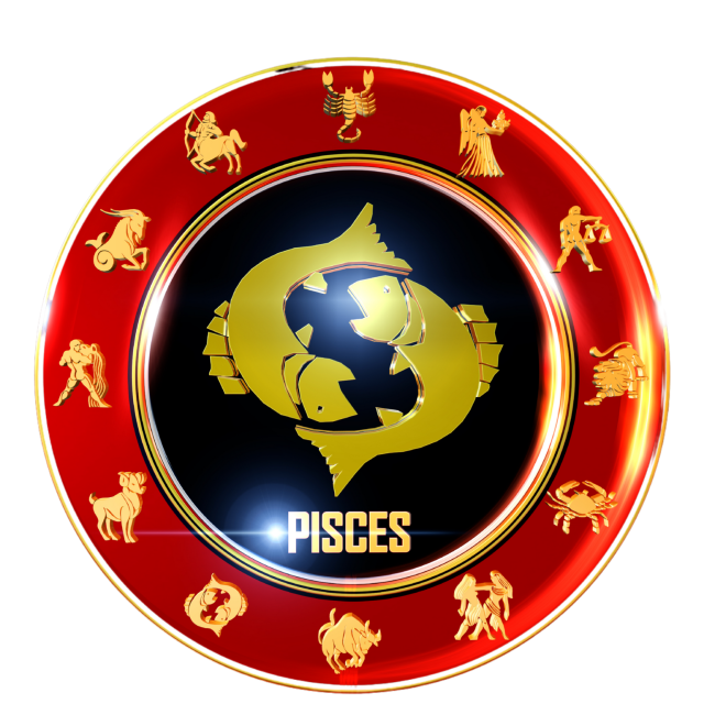 Untitled design (31)